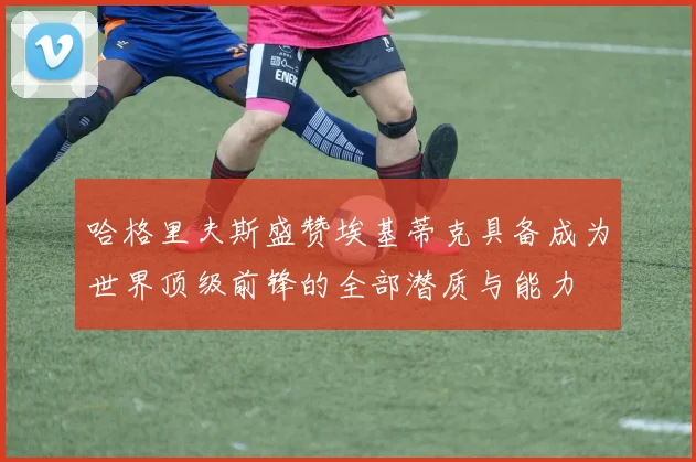哈格里夫斯盛赞埃基蒂克具备成为世界顶级前锋的全部潜质与能力